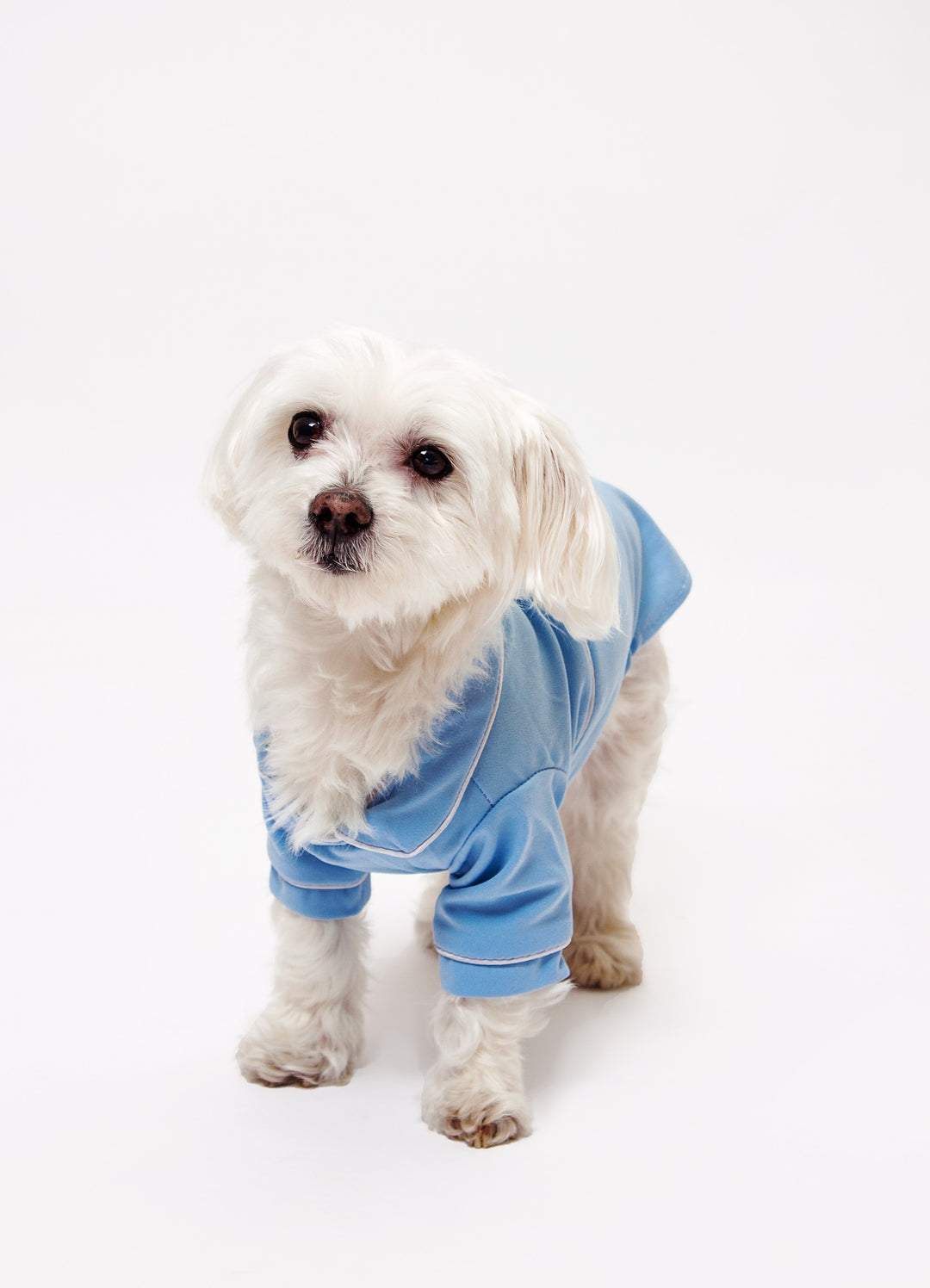 Custom Dog Pajama Shirt