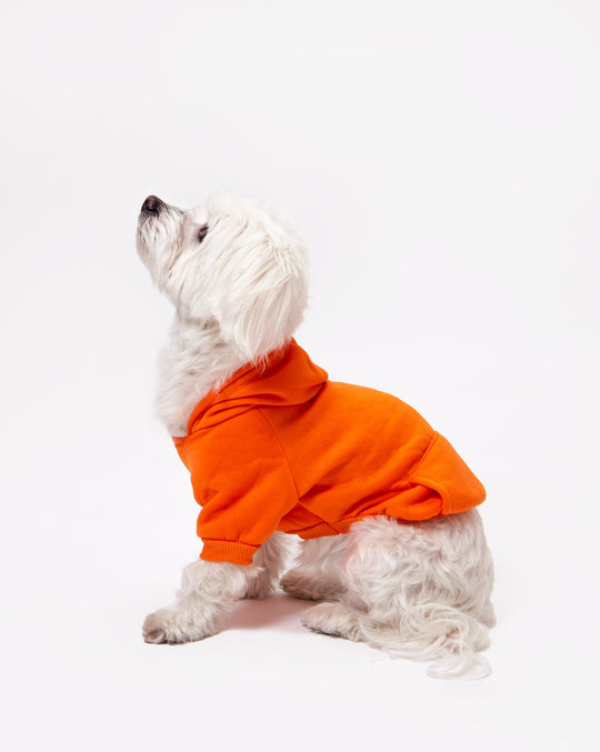 Customized Dog Hoodie