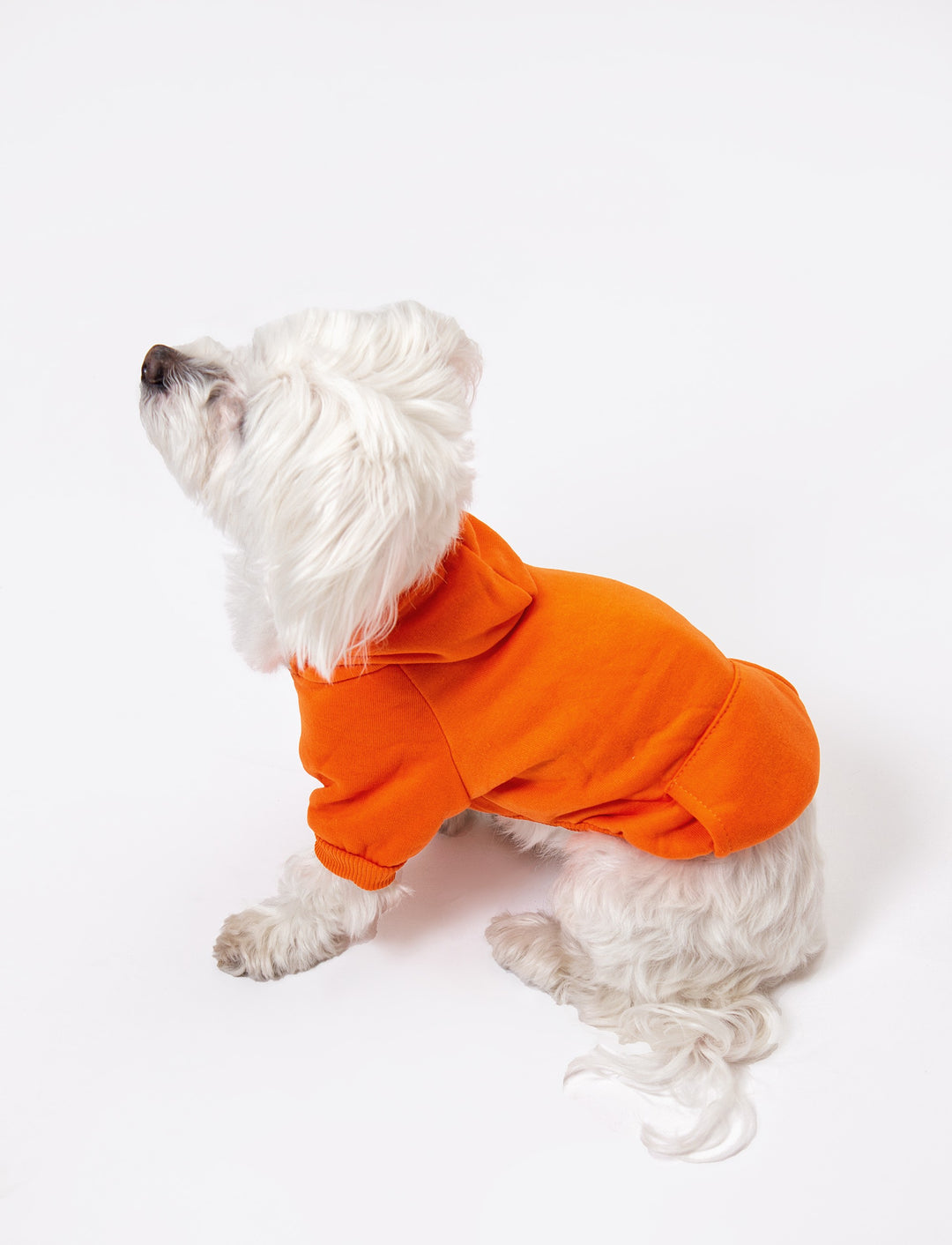 Customized Dog Hoodie