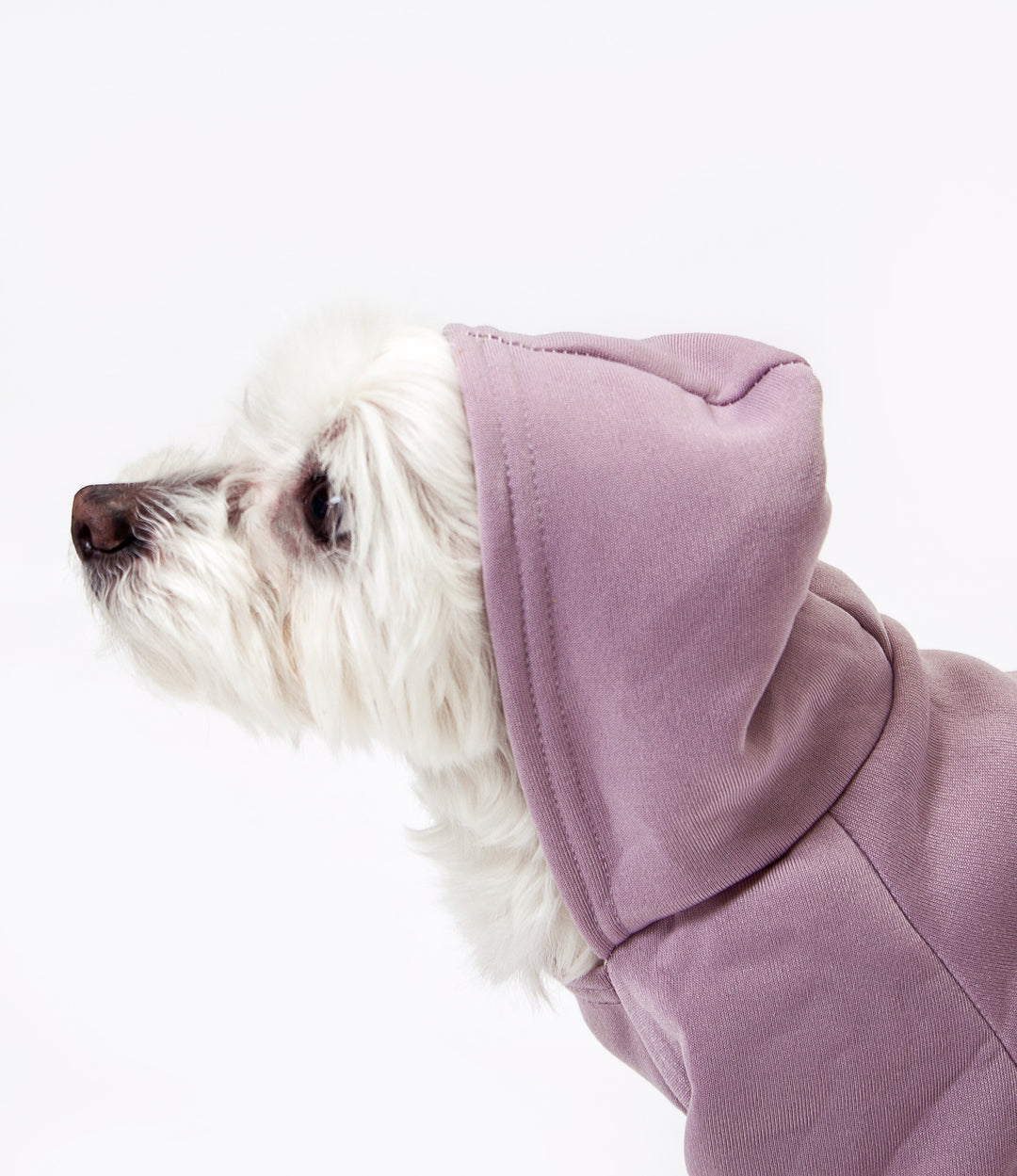 Customized Dog Hoodie