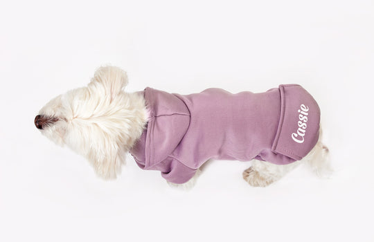 Customized Dog Hoodie