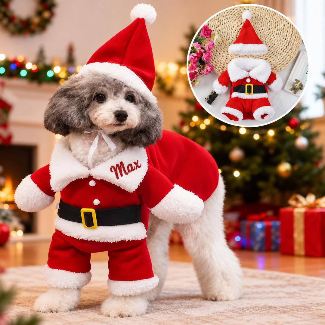 Christmas Dog Costume with Custom Name, Santa Pet Outfit, Personalized Puppy Christmas Clothes, Holiday Dog Photo Outfit, Xmas Pet Gift