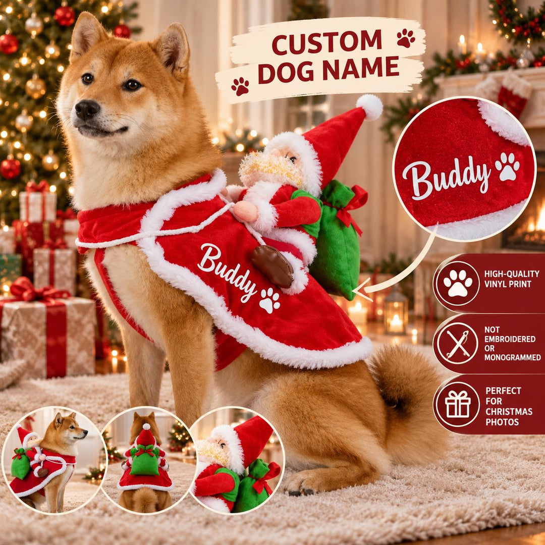 Personalized Dog Christmas Costume