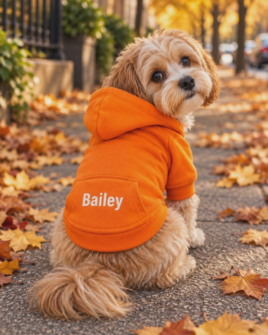 Customized Dog Hoodie