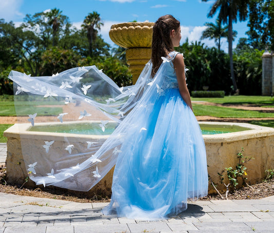 Butterfly Flower Girl Dress Birthday Princess Dress