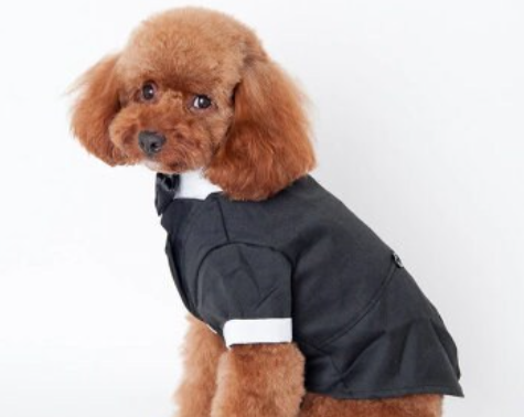 Dog Custom Wedding Tuxedo
